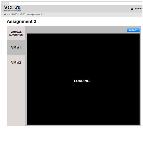 Launched Environment