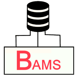 BAMS