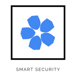 Smart Security