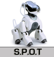 SPOT